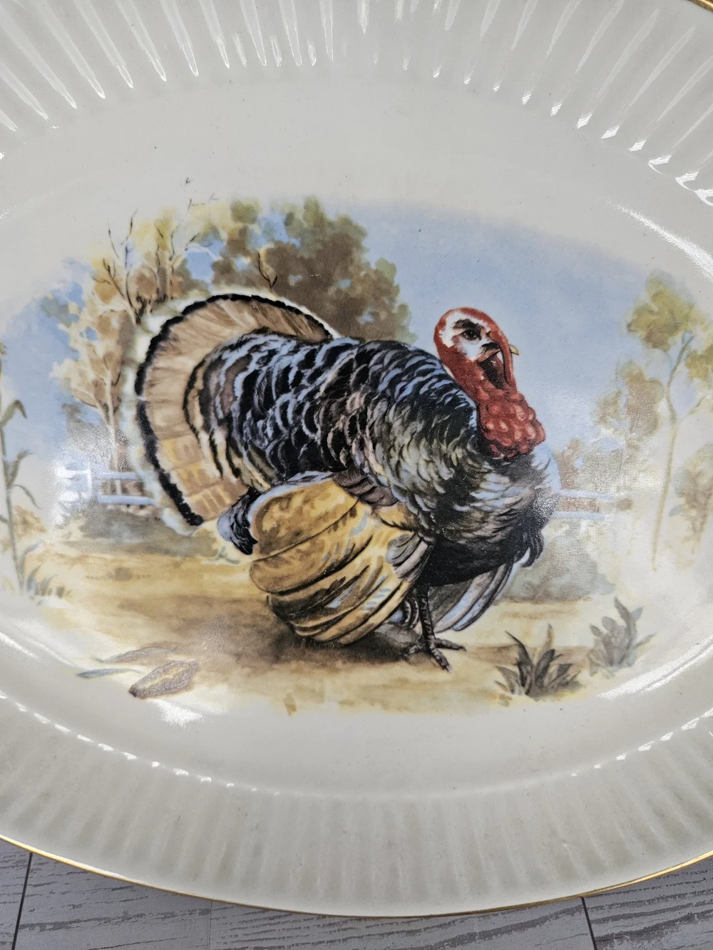Homer Laughlin this vintage